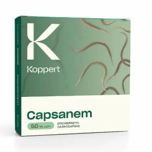 Capsanem_Koppert_Planthiza