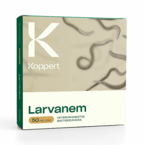 larvanem_koppert_planthiza