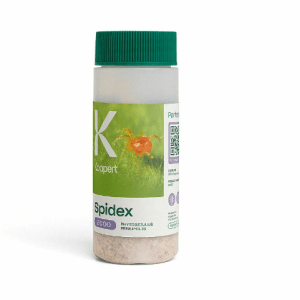 spidex_koppert_planthiza