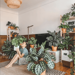 Plantas @atripeirinha