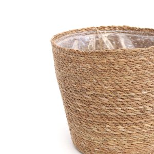 vaso verga