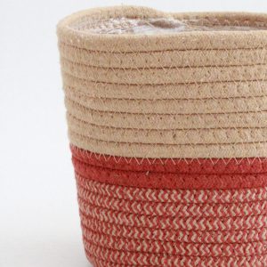 vaso-verga-meca-planthiza
