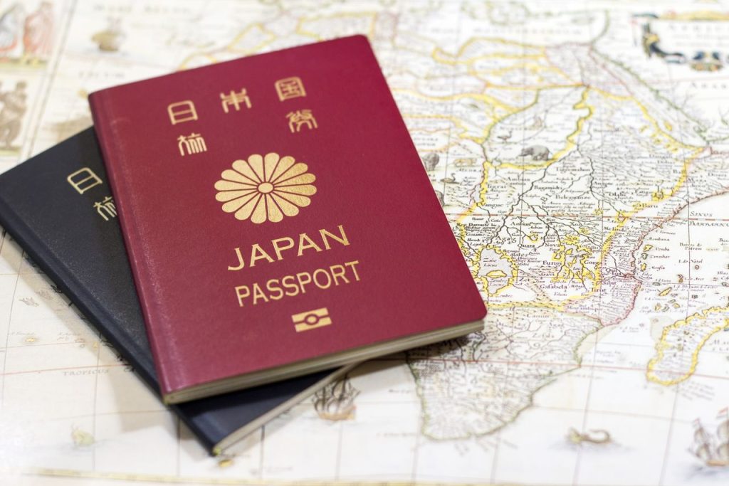 chrysanthemum-passaport-japan-planthiza-blog