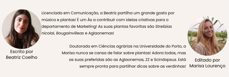 Assinatura_Beatriz+Marisa-compressed